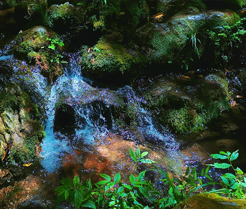 3118ÔÆ¶¥¼¯ÍÅ(ÖйúÇø)¹Ù·½ÍøÕ¾